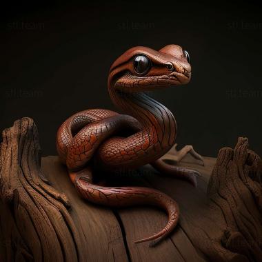 3D модель Neophyllaphis lanata (STL)